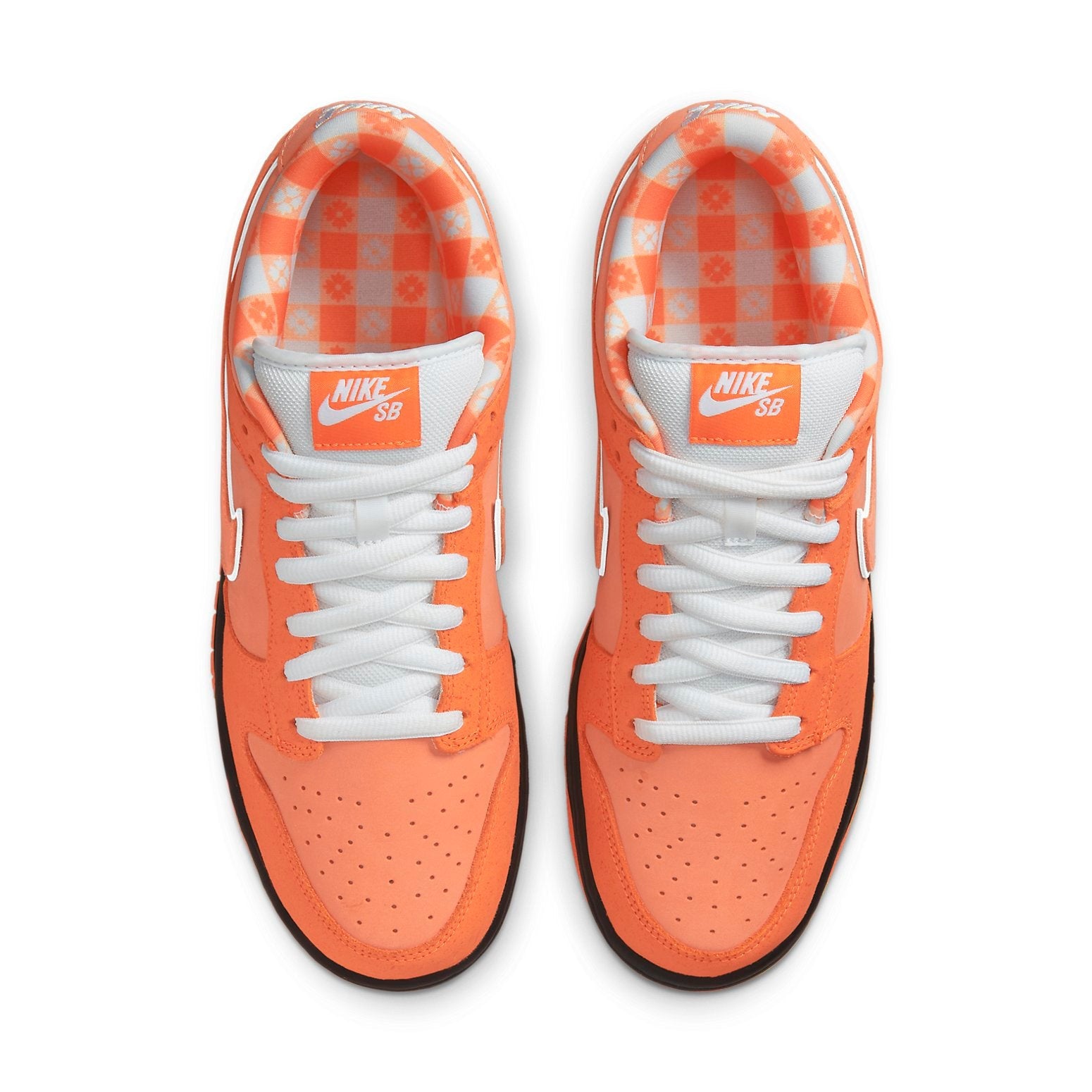 Concepts x Nike Dunk Low SB 'Orange Lobster' FD8776-800 – Harvard Square Collab